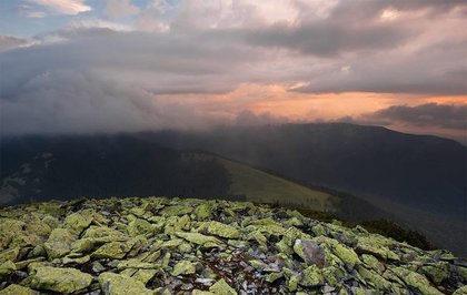 Горгани