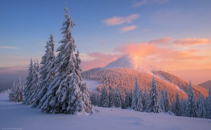 Гора Хом'як